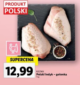 Lidl Polski indyk - golonka 1 kg oferta