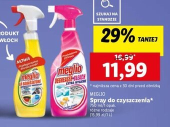 Lidl Spray do czyszczenia* 750 ml oferta