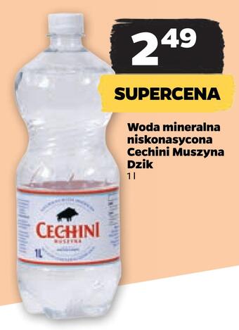 Netto Woda mineralna niskonasycona cechini muszyna dzik oferta