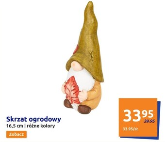 Action Skrzat oferta
