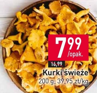 Kurki