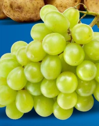 Lidl Winogrona oferta