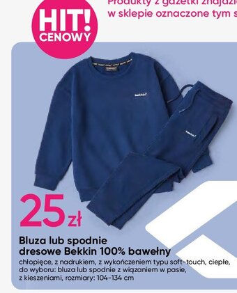 Pepco Spodnie dresowe chłopięce 104-134 cm oferta