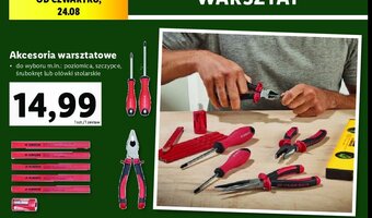 Lidl Poziomica oferta