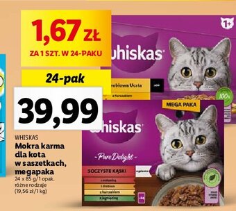 Lidl Karma dla kota pure delight oferta