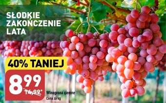 ALDI Winogrona ciemne 1kg oferta