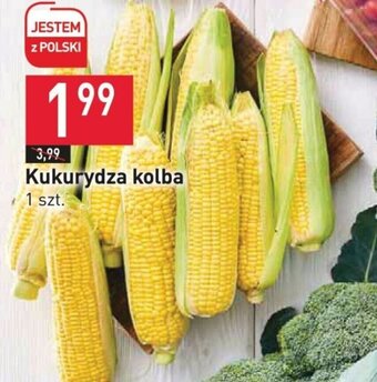 Stokrotka Kukurydza kolba 1 szt. oferta