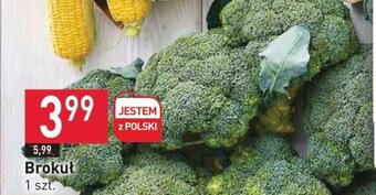 Stokrotka Brokuł 1 szt. oferta