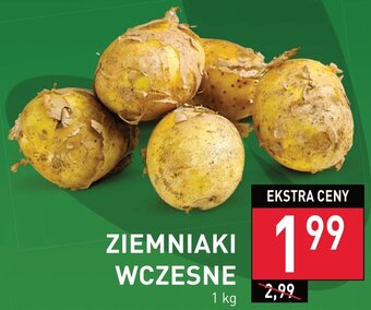 Stokrotka ZIEMNIAKI WCZESNE 1 kg oferta