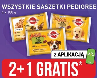 Stokrotka WSZYSTKIE SASZETKI PEDIGREE 4x100g oferta