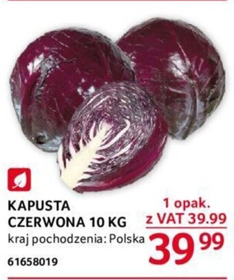 Selgros KAPUSTA CZERWONA 10 KG oferta