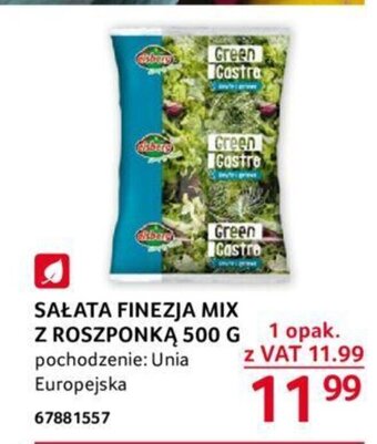 Selgros SAŁATA FINEZJA MIX Z ROSZPONKĄ 500 G oferta