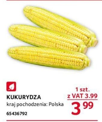 Selgros KUKURYDZA 1 szt. oferta