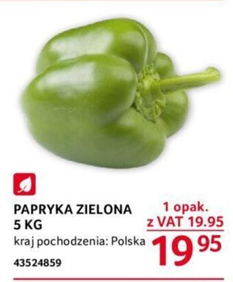 Selgros PAPRYKA ZIELONA 5 KG oferta