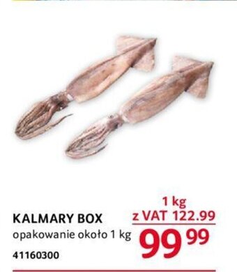 Selgros KALMARY BOX 1 KG oferta