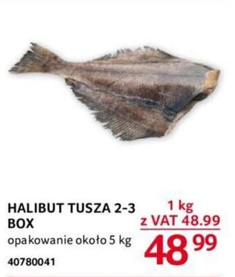 Selgros HALIBUT TUSZA 2-3 BOX 1 kg oferta