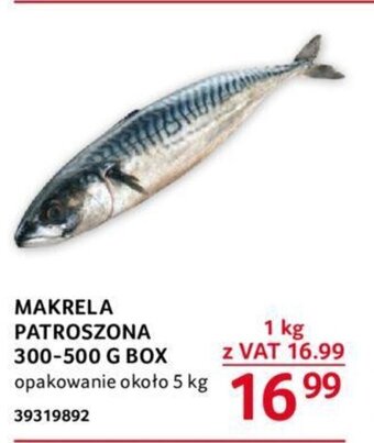 Selgros MAKRELA PATROSZONA 300-500 G BOX 1 kg oferta