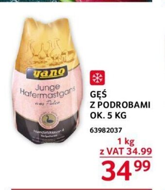 Selgros GĘŚ Z PODROBAMI 1 kg oferta
