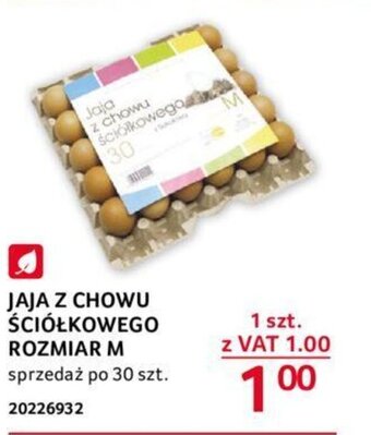 Selgros JAJA Z CHOWU ŚCIÓŁKOWEGO ROZMIAR M 1 szt. oferta