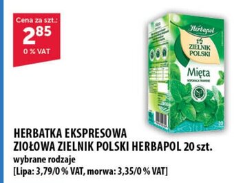 Eurocash HERBATKA EKSPRESOWA ZIOŁOWA ZIELNIK POLSKI HERBAPOL 20 szt. oferta