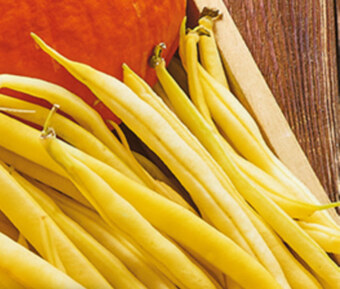 Biedronka Fasolka szparagowa oferta