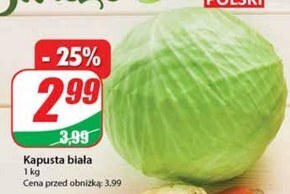 Kapusta