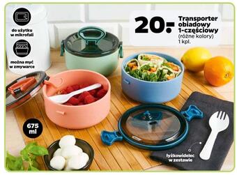 Netto Transporter obiadowy 1-częściowy oferta