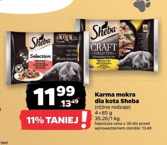 Netto Karma mokra dla kota sheba oferta