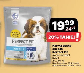 Netto Karma sucha dla psa perfect fit oferta