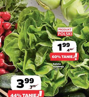 Netto Sałata masłowa oferta