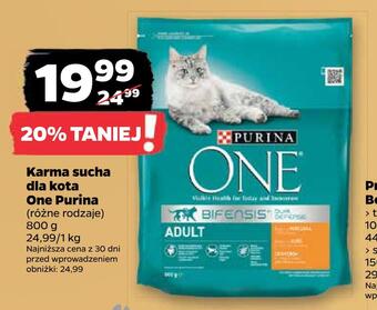 Netto Karma sucha dla kota one purina oferta