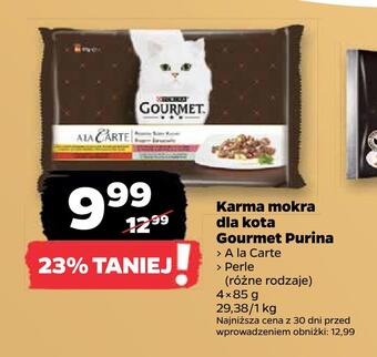 Netto Karma mokra dla kota gourmet purina oferta