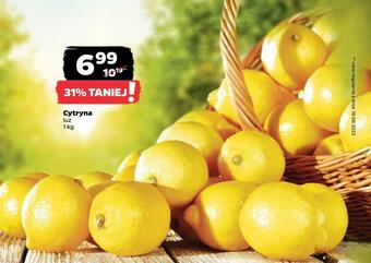 Netto Cytryna oferta