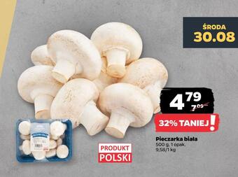 Netto Pieczarka biała oferta