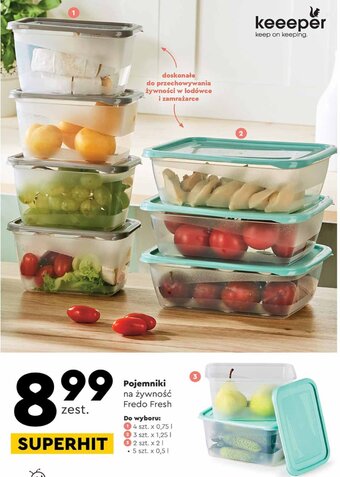 Biedronka Pojemniki na żywność Fredo Fresh oferta