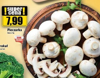 Topaz Pieczarka 1 kg oferta