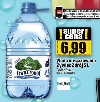 Topaz Woda niegazowana Żywiec Zdrój 5 L oferta