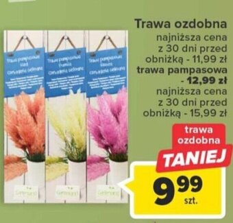 Carrefour Trawa ozdobna oferta