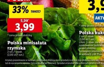 Lidl Polska minisałata rzymska 2szt. oferta