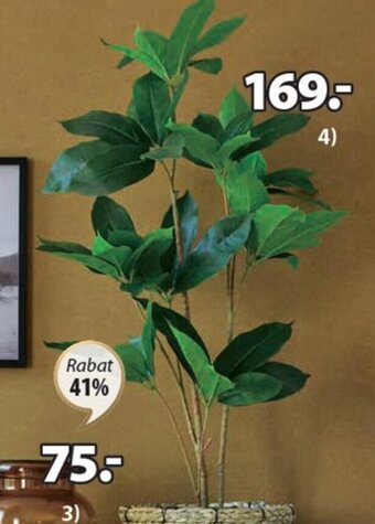 JYSK ROŚLINA SZTUCZNA TRISTAN W80cm oferta
