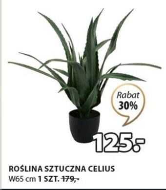JYSK ROŚLINA SZTUCZNA CELIUS W65 cm oferta