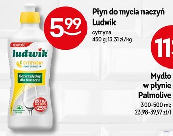 Żabka Płyn do mycia naczyń Ludwik 450g oferta
