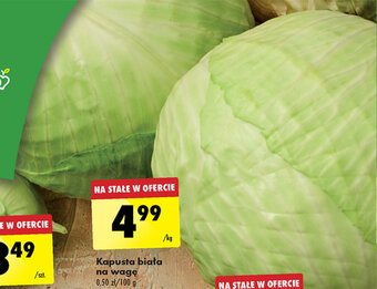 Biedronka Kapusta biała 1kg oferta