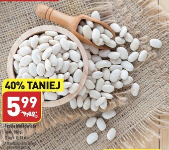 ALDI Fasola biała świeża 500 g oferta