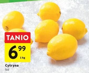 Intermarche Cytryna luz 1kg oferta