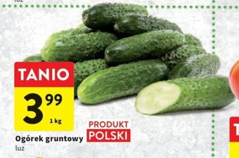 Intermarche Ogórek gruntowy 1kg oferta