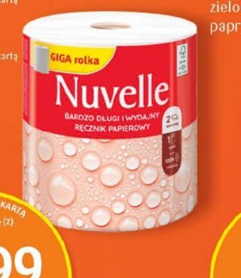 Delikatesy Centrum Ręcznik papierowy nuvelle oferta