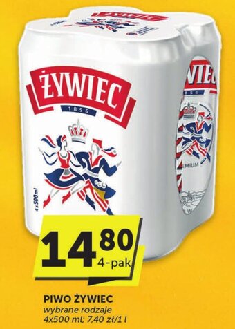 Groszek PIWO ŻYWIEC 4x500 ml oferta