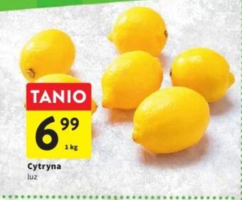 Intermarche Cytryna 1 kg oferta