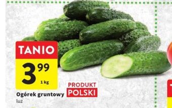 Intermarche Ogórek gruntowy 1 kg oferta